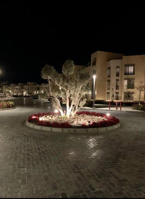 Apartment Mangroovy - Divine 1br View Hurghada